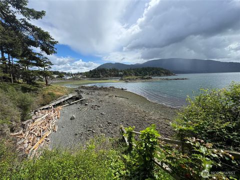Photo of 69 Myer's St, Orcas Island, WA 98245 (MLS # 2493318)