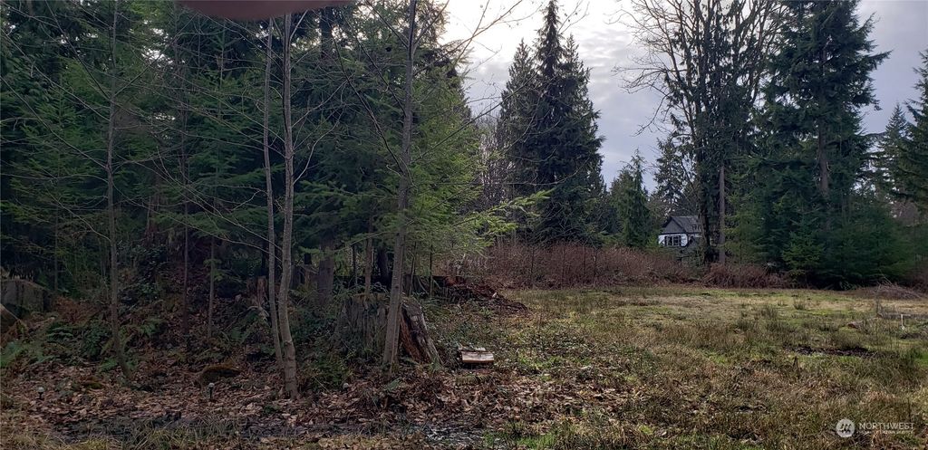 Photo of 24 XX 177th Avenue NE, Snohomish, WA 98290 (MLS # 2030978)