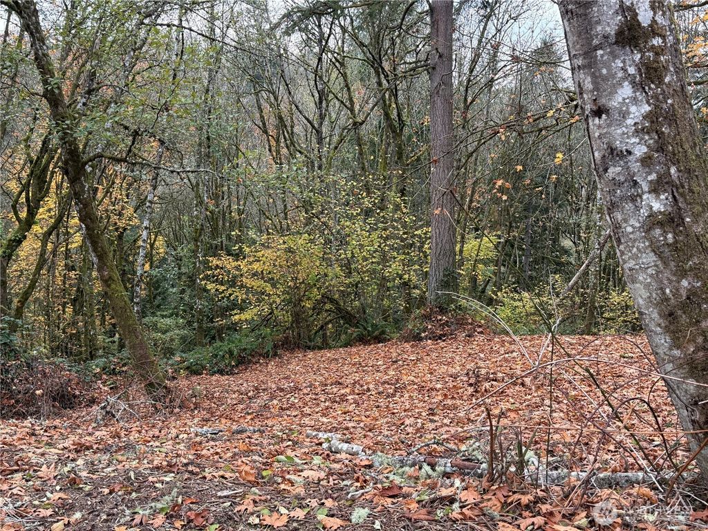 Photo of 0 Maplewood Drive, Longview, WA 98632 (MLS # 2460192)