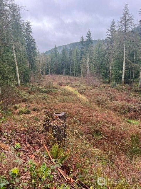 Photo of 27635 SE Mud Mountain Road, Enumclaw, WA 98022 (MLS # 2587943)