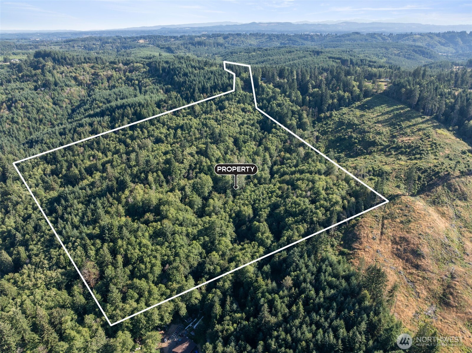 541 Centralia Alpha Road