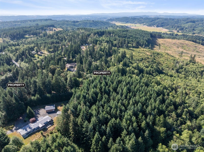 541 Centralia Alpha Road