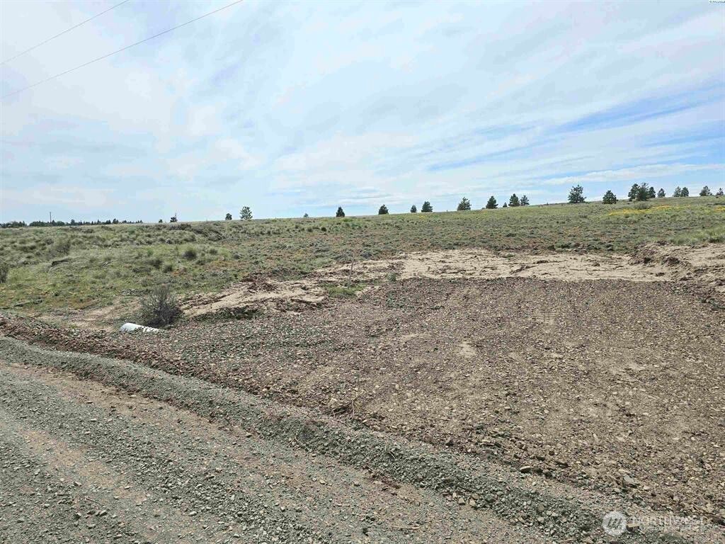 Photo of 141 Middle Rd, Bickleton, WA 99322 (MLS # 2504585)