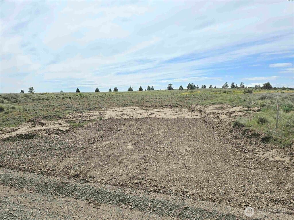 Photo of 141 Middle Rd, Bickleton, WA 99322 (MLS # 2504585)