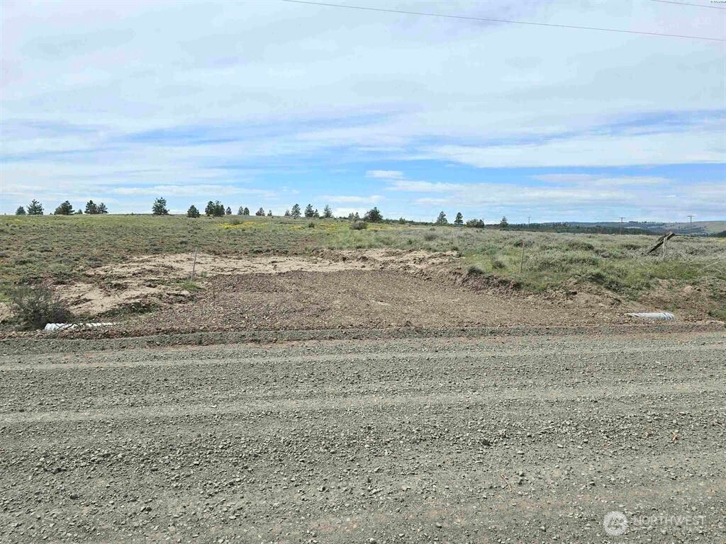 Photo of 141 Middle Rd, Bickleton, WA 99322 (MLS # 2504585)