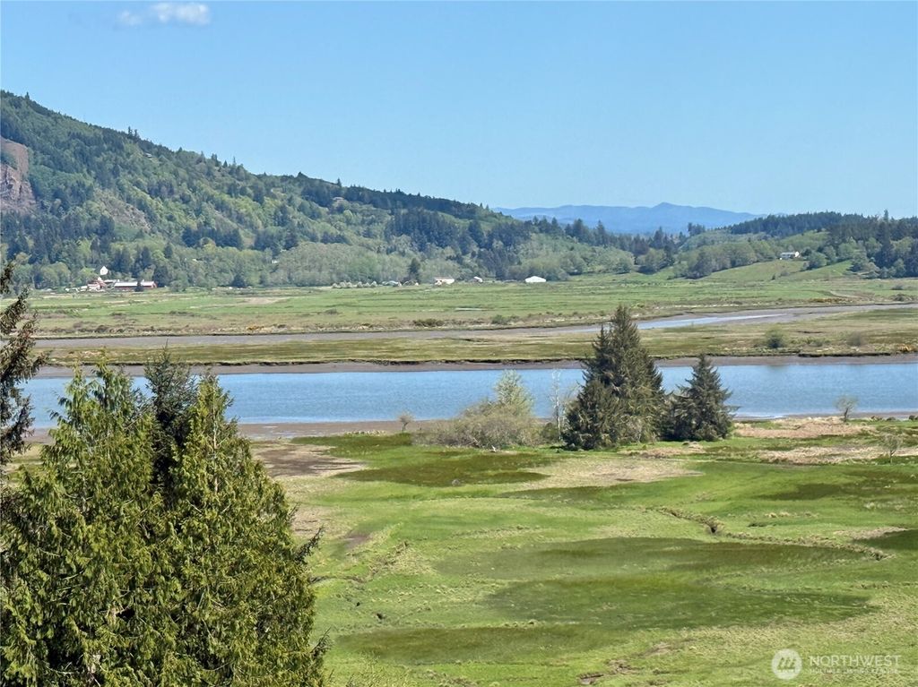 Photo of 8462 Us Highway 101, South Bend, WA 98586 (MLS # 2528999)