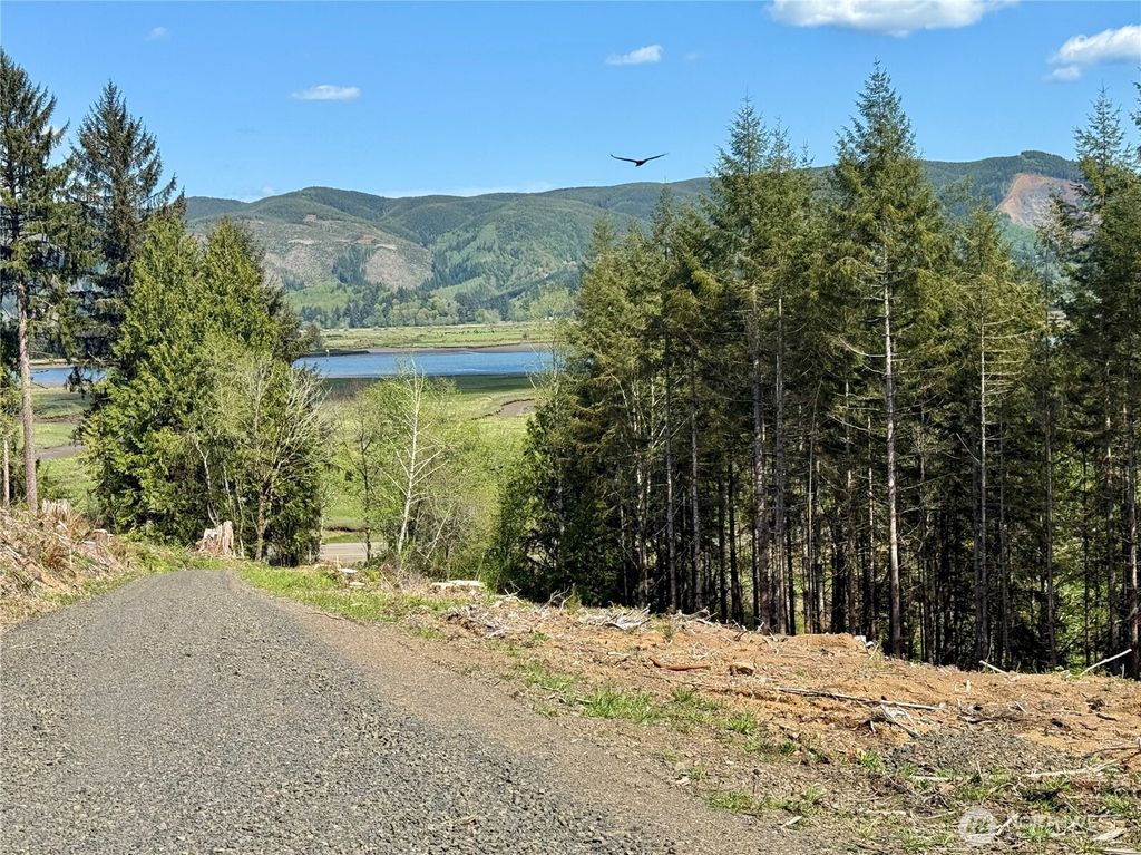 Photo of 8462 Us Highway 101, South Bend, WA 98586 (MLS # 2528999)
