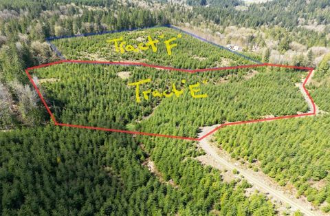 Photo of 9201 Tract E Old Olympic Highway NW, Olympia, WA 98502 (MLS # 2441638)