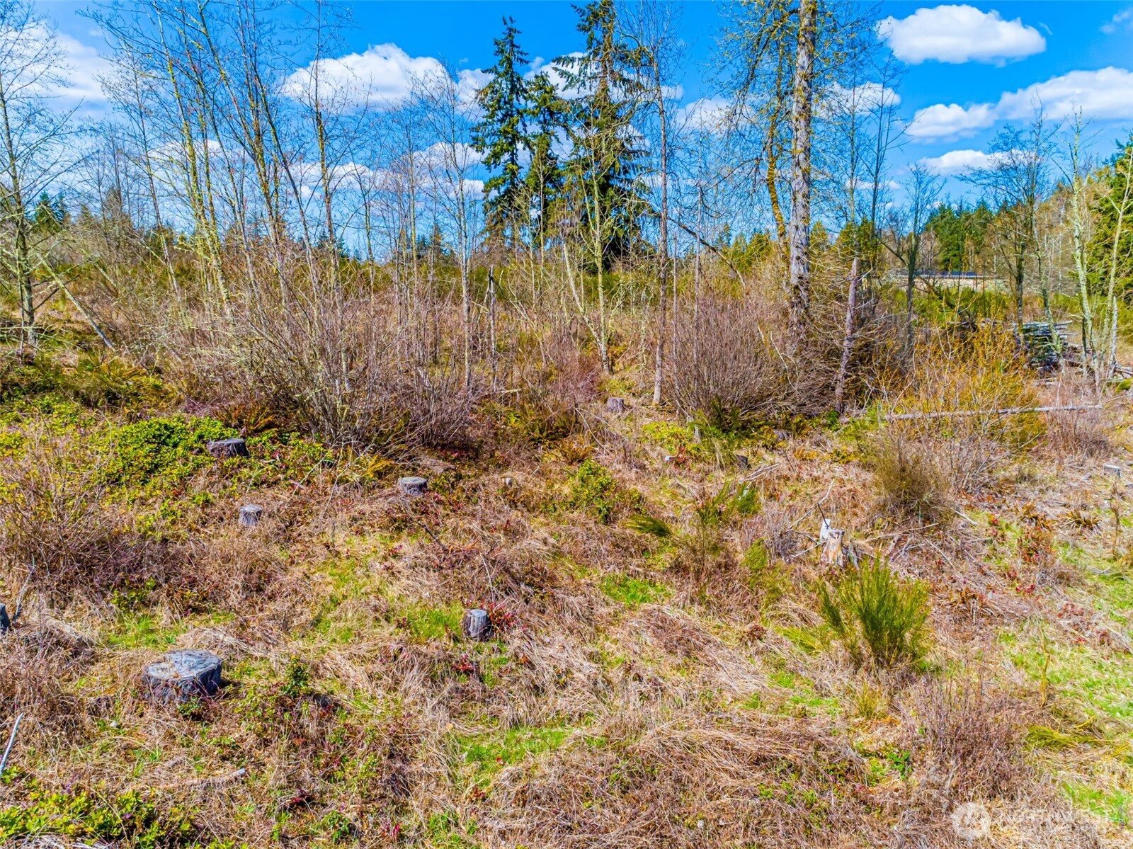 0 40th Avenue S