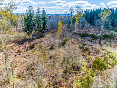 Photo of 0 40th Avenue S, Roy, WA 98580 (MLS # 2418780)