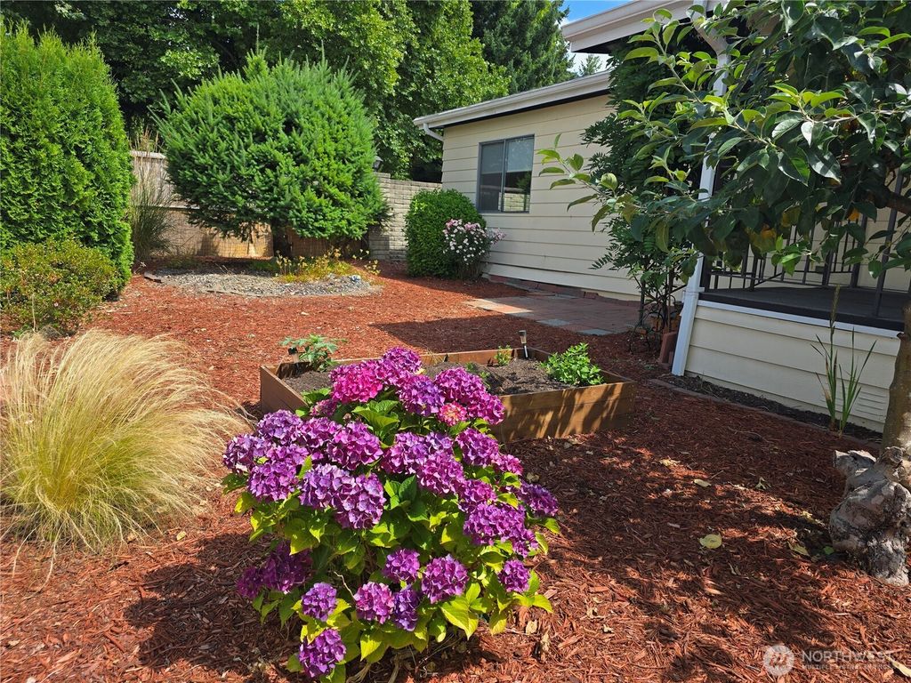 Photo of 1402 22nd Street NE #203, Auburn, WA 98002 (MLS # 2375527)