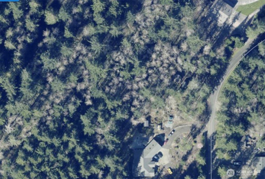 Photo of 8145 Evergreen Drive NE, Olympia, WA 98506 (MLS # 2493913)