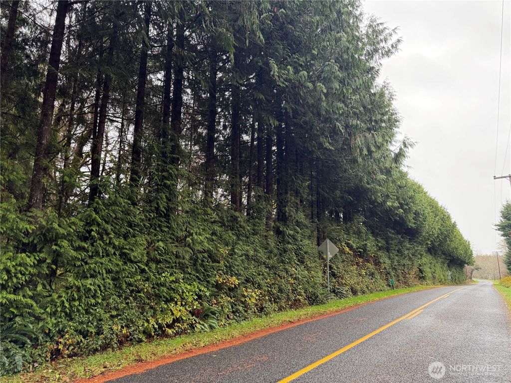 Photo of 1982 Clearwater Road, Queets, WA 98331 (MLS # 2462878)