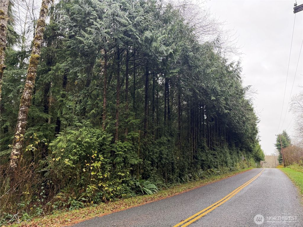 Photo of 1982 Clearwater Road, Queets, WA 98331 (MLS # 2462878)