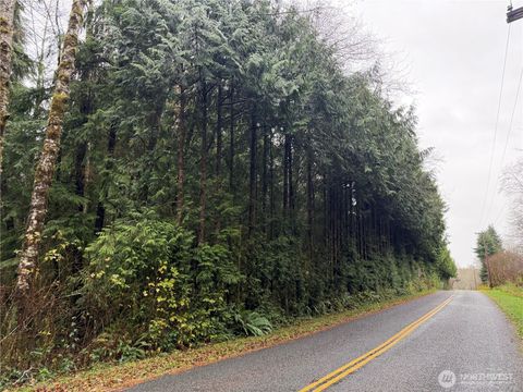 Photo of 1982 Clearwater Road, Queets, WA 98331 (MLS # 2462878)