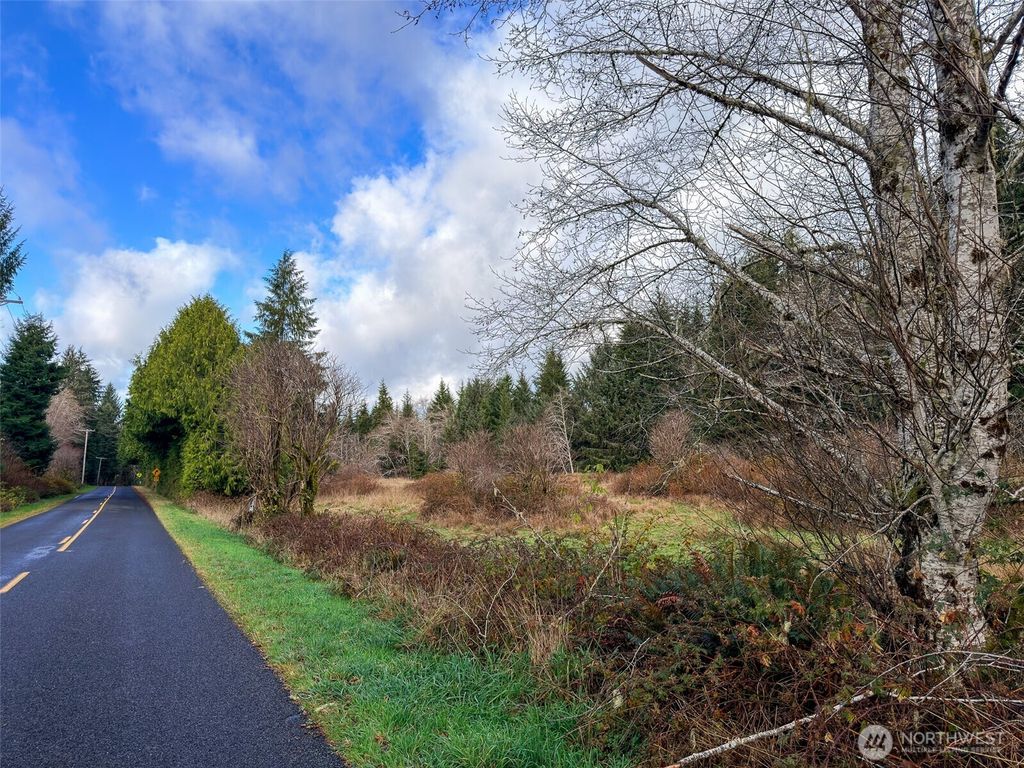 Photo of 1982 Clearwater Road, Queets, WA 98331 (MLS # 2462878)