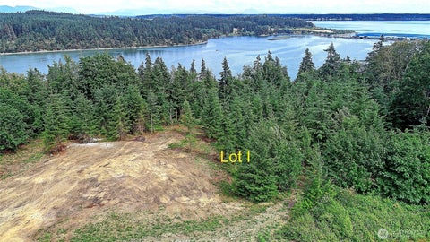 Photo of 1 I Triangle Cove Lane, Camano Island, WA 98282 (MLS # 2546395)