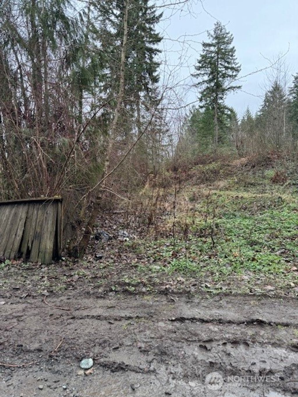 Photo of 32919 82nd Avenue S, Roy, WA 98580 (MLS # 2466454)