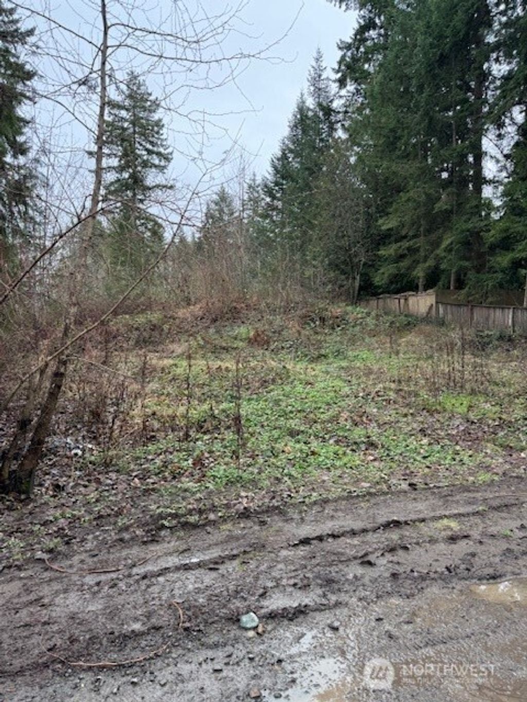 Photo of 32919 82nd Avenue S, Roy, WA 98580 (MLS # 2466454)