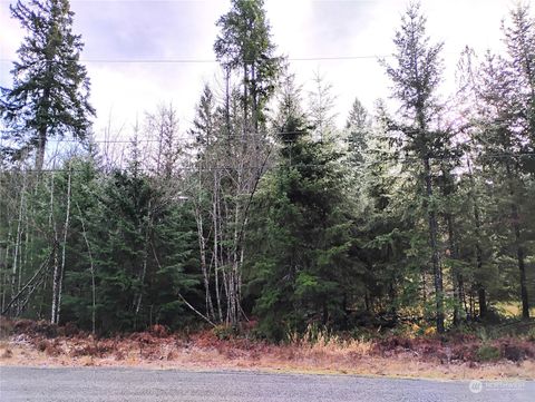 2 Deer Park Lane Packwood WA 98361