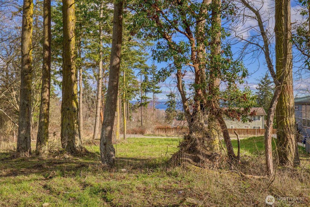 Photo of 10 NKA Wilson Street, Port Townsend, WA 98368 (MLS # 2480908)