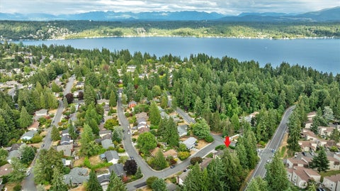 Photo of 1007 174th Avenue NE, Bellevue, WA 98008 (MLS # 2562133)