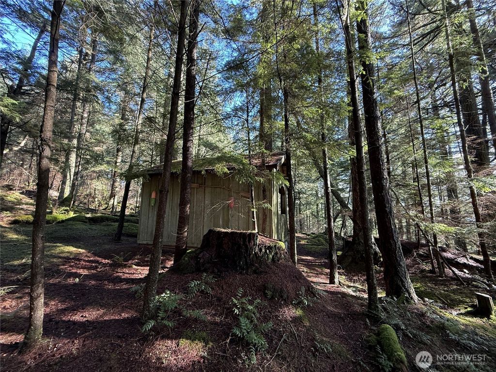 Photo of 2000 Peregrine, Orcas Island, WA 98279 (MLS # 2489493)