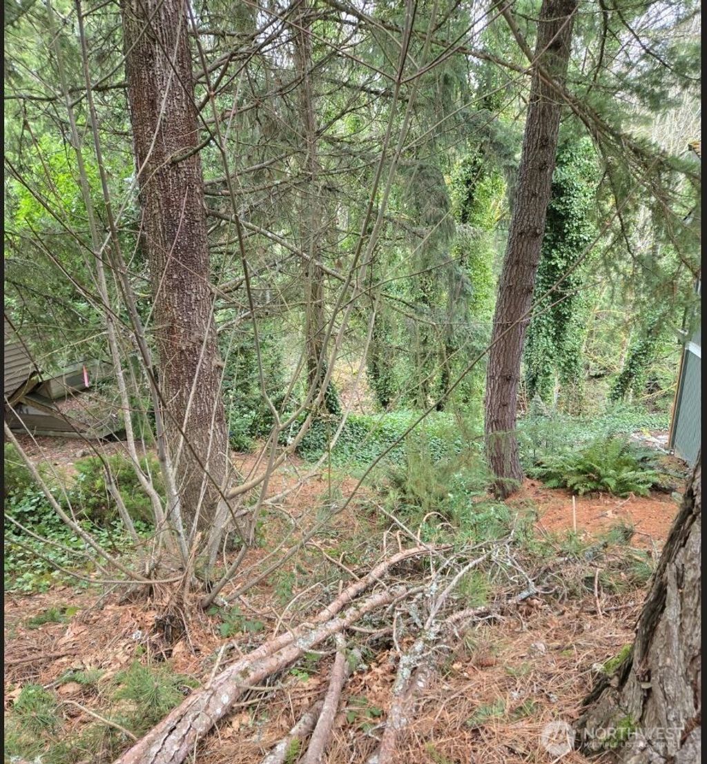 Photo of 4684 152nd Place SE, Bellevue, WA 98006 (MLS # 2389290)