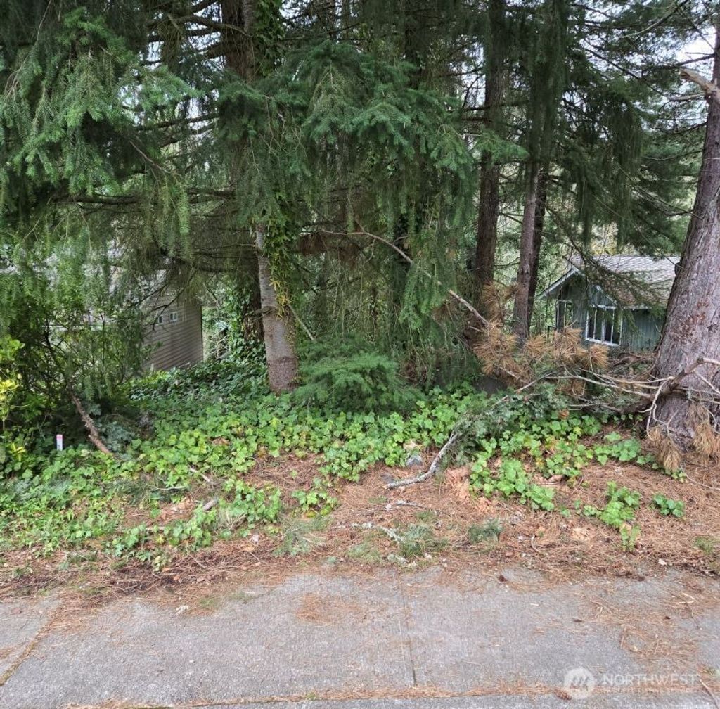 Photo of 4684 152nd Place SE, Bellevue, WA 98006 (MLS # 2389290)