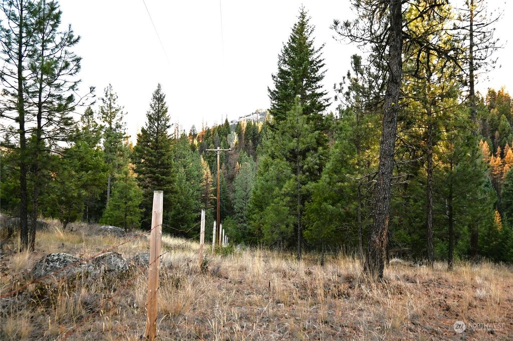 listing image 9369195746080134789