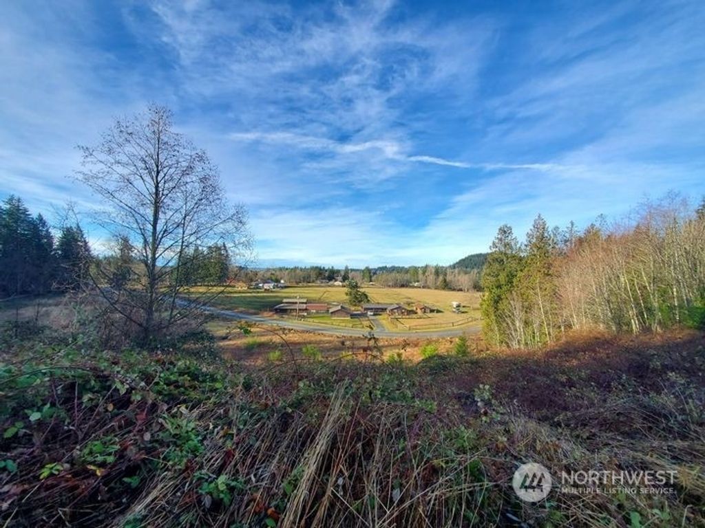 Photo of 40584 306th Avenue SE, Enumclaw, WA 98022 (MLS # 2023229)