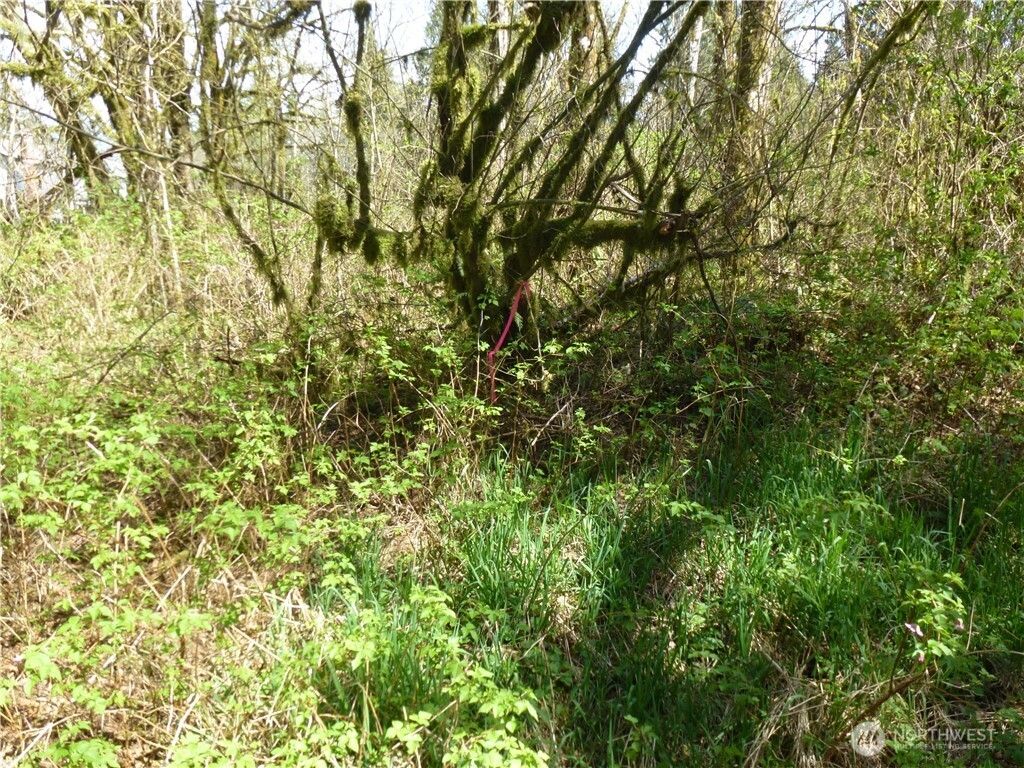 Photo of 16020 NE Bel-Red Road, Bellevue, WA 98005 (MLS # 2478477)