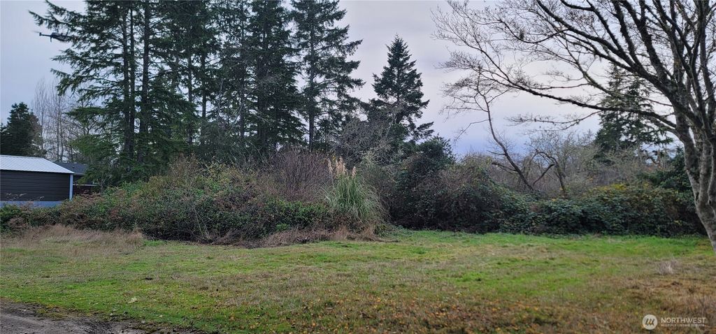 Photo of 0 Y LN, Ocean Park, WA 98640 (MLS # 2460769)