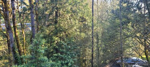 Photo of 1317 Wildwood Boulevard SW, Issaquah, WA 98027 (MLS # 2496927)