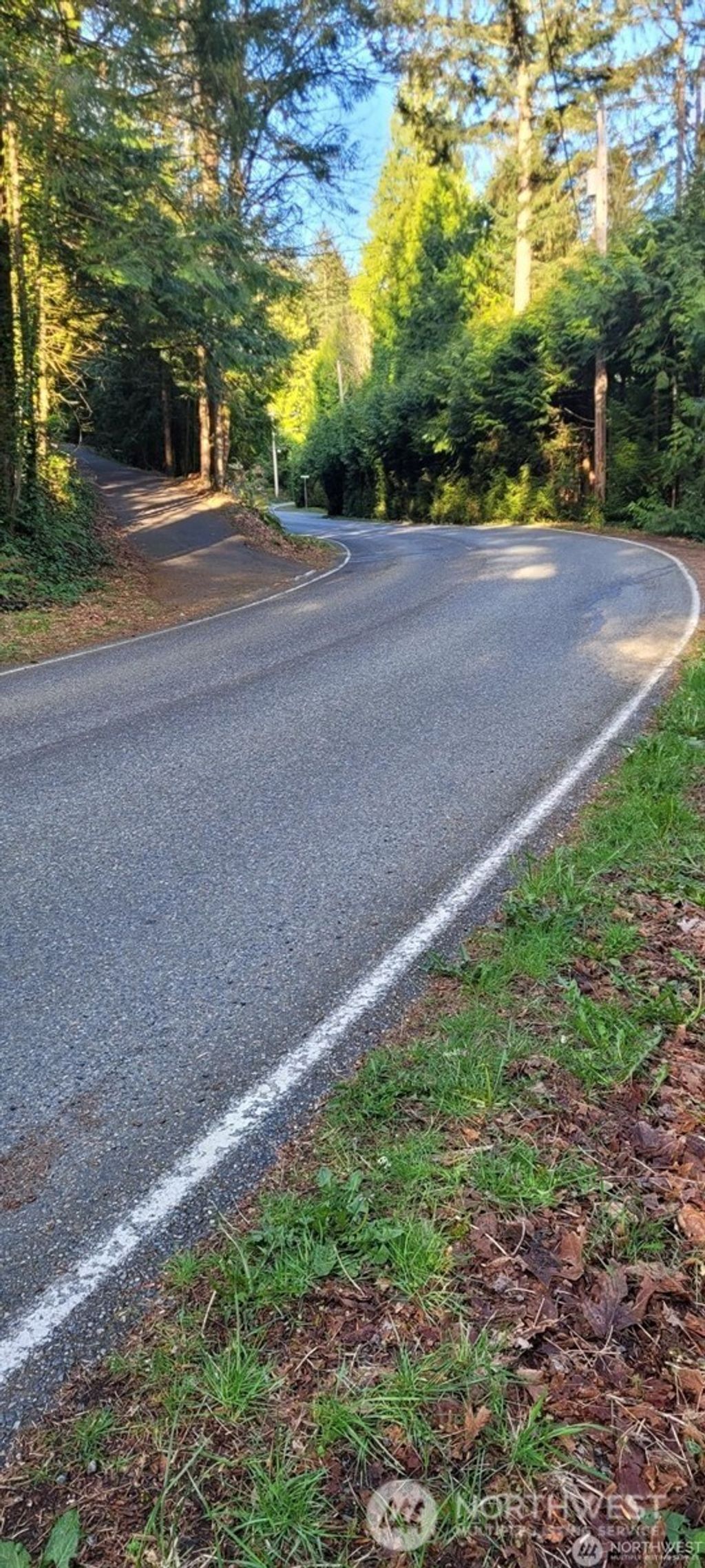 Photo of 1317 Wildwood Boulevard SW, Issaquah, WA 98027 (MLS # 2496927)