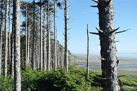 5 & 6 Roosevelt Beach Lots Pacific Beach WA 98571