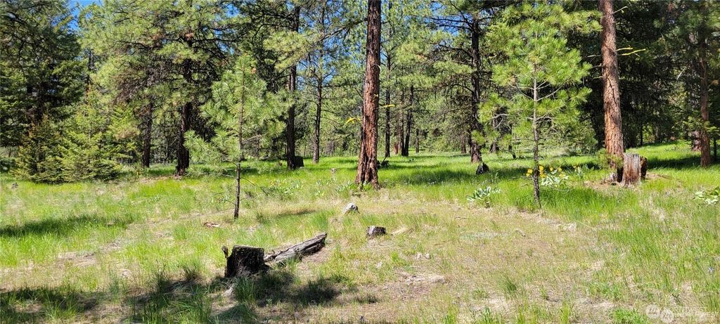 Photo of 374 Bench Creek Road, Tonasket, WA 98855 (MLS # 2499520)