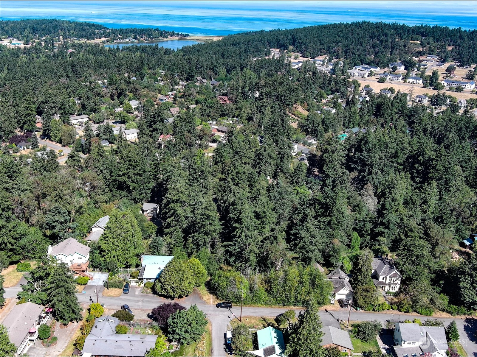 540 Reed Street (974402203)