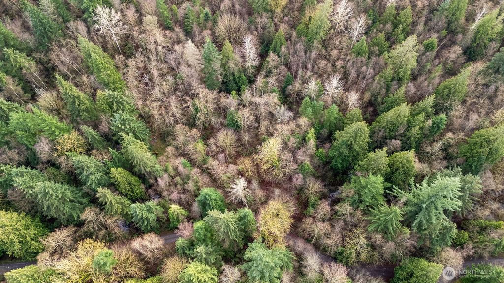 Photo of 2031 Camber Lane Ln, Blaine, WA 98230 (MLS # 2460138)