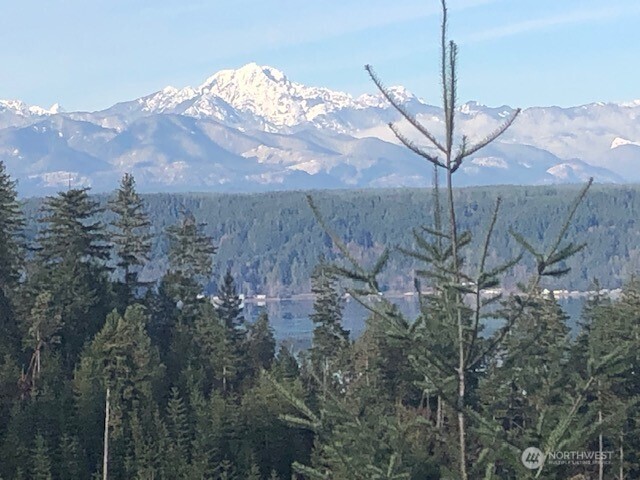 4 E Alderbrook Ridge Drive
