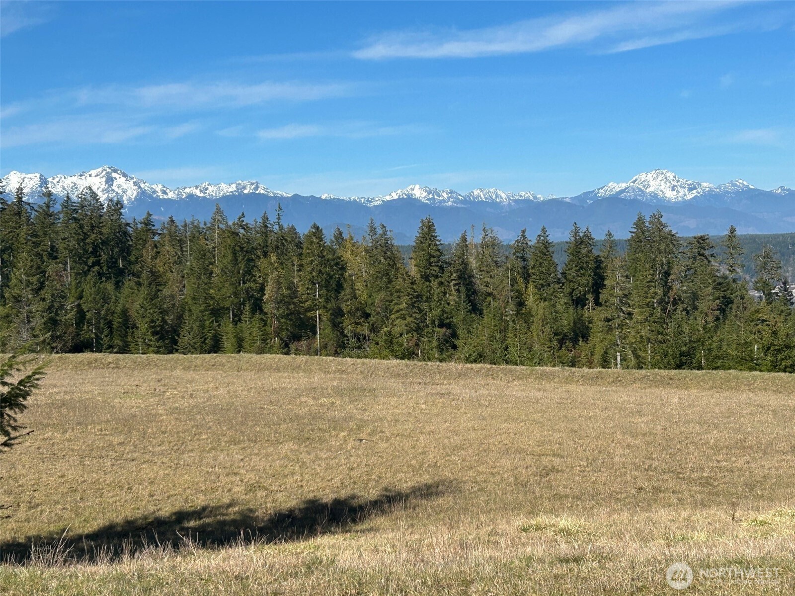 4 E Alderbrook Ridge Drive