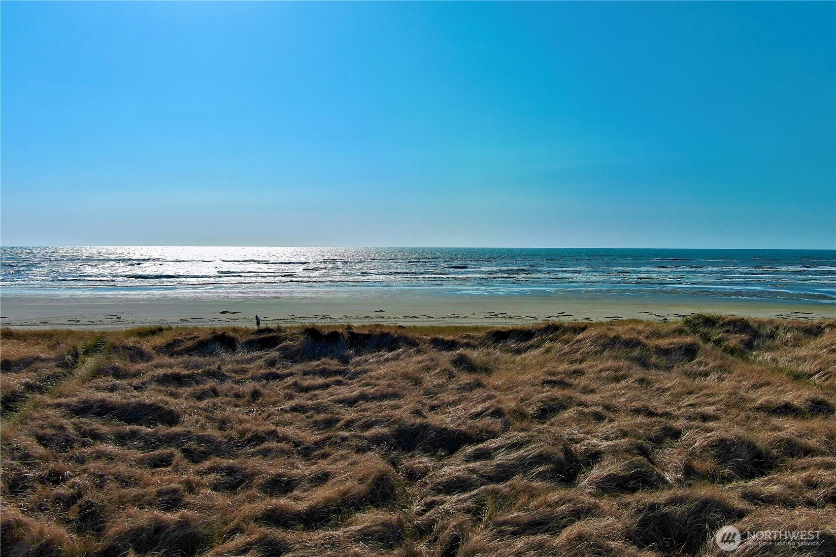 1311 Ocean Shores Boulevard SW 3