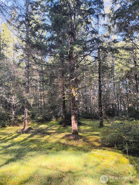 1731 E Saint Andrews Dr. N Shelton WA 98584
