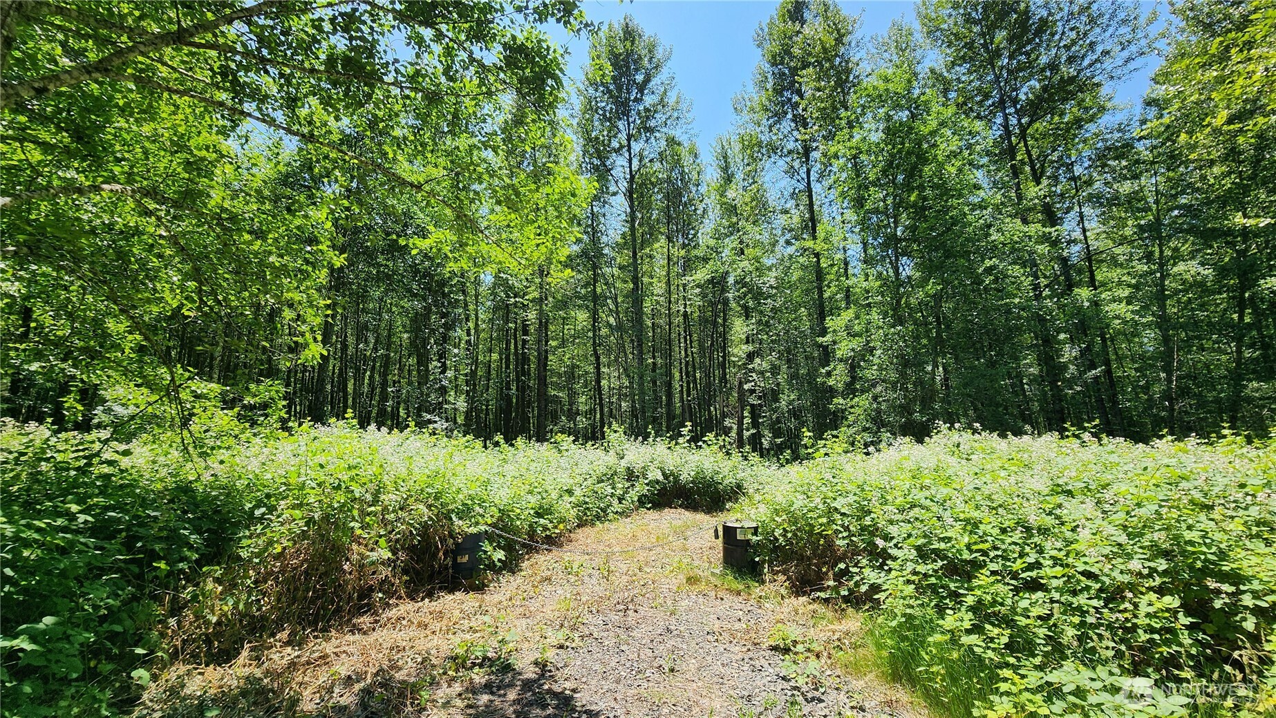 1230 Silverbrook Road