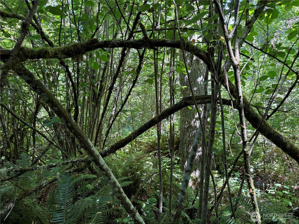 Photo of 0 Chuckawa Lane SE, Yelm, WA 98597 (MLS # 2509945)