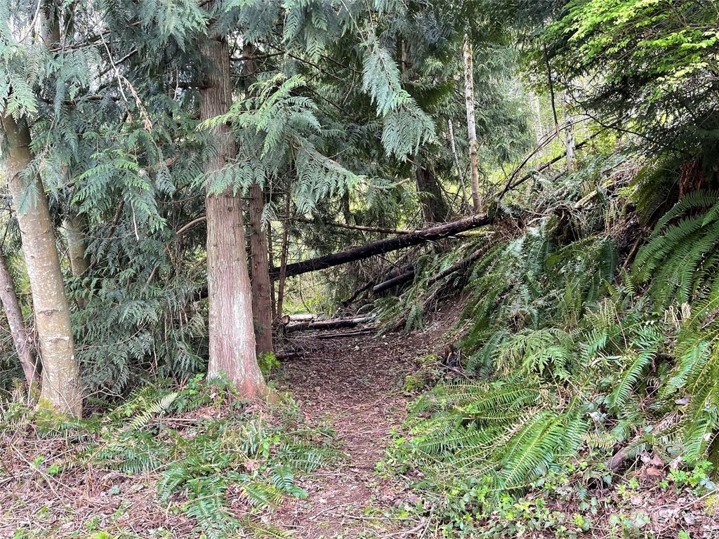 Photo of 2800 Freestad Road, Lake Goodwin, WA 98292 (MLS # 2059503)