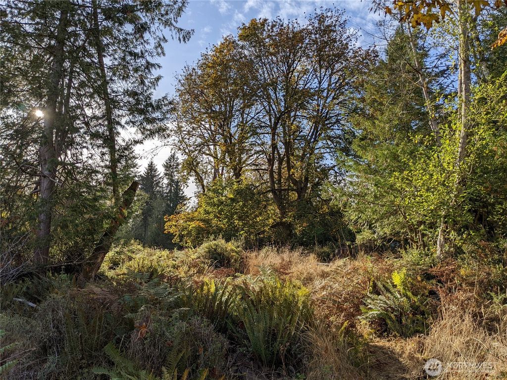 Photo of 681 E Jared Road, Shelton, WA 98584 (MLS # 2514359)