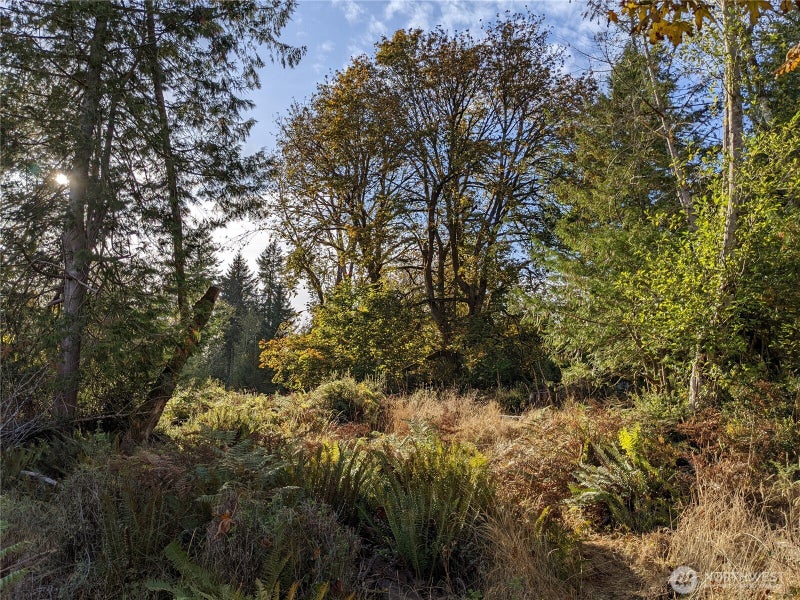 681 E Jared Road