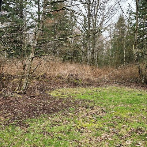 Photo of 0 Valley View Lot 2 Road, Ferndale, WA 98248 (MLS # 2208210)