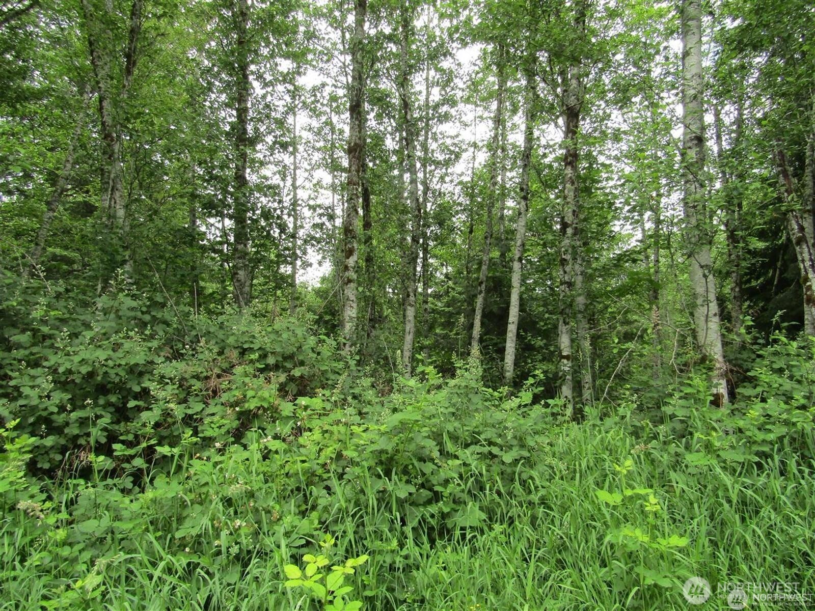 0 Davis Lake Road